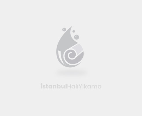 Sokakta halı yıkama cezası nedir